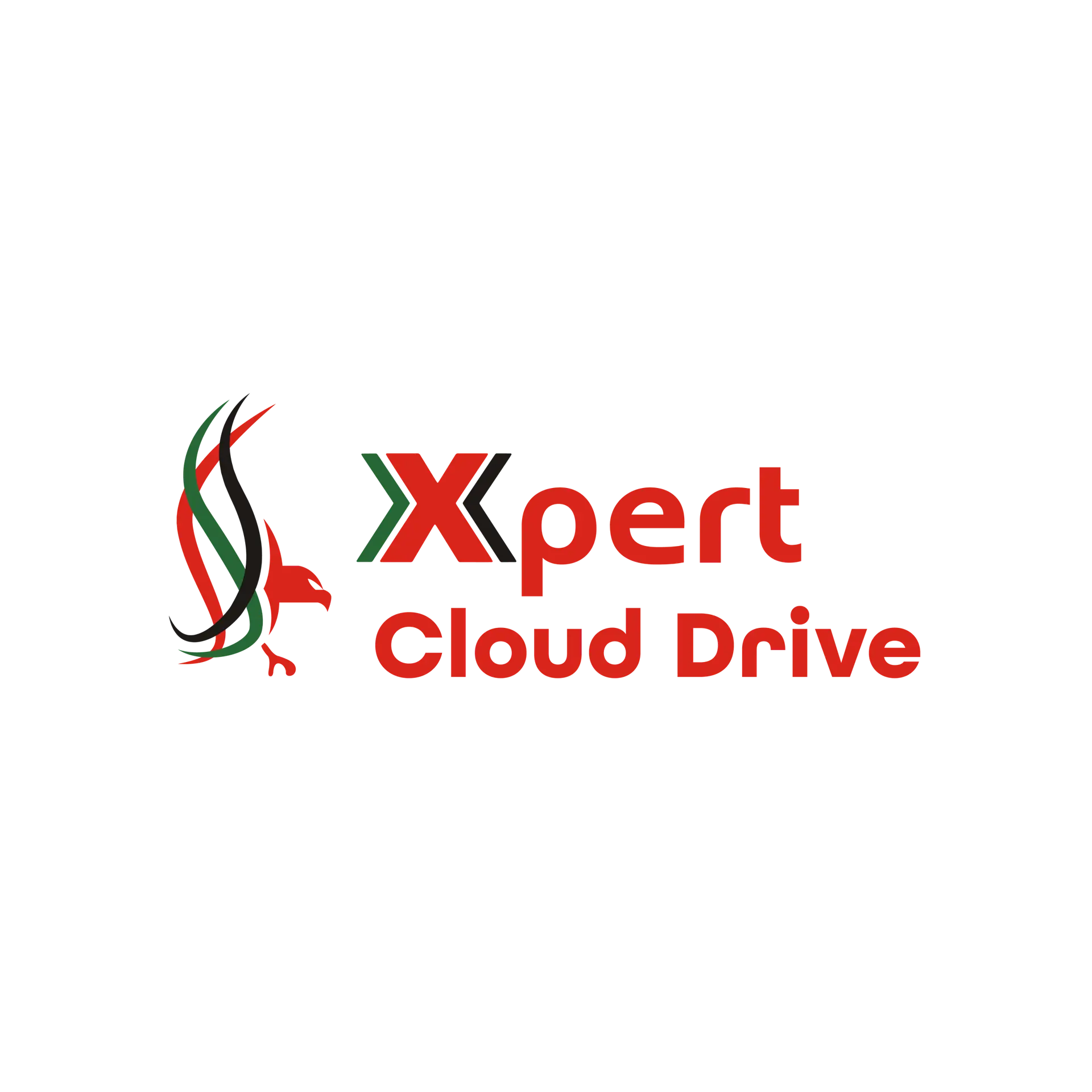 Xpert Group Logo 1251x1251-12